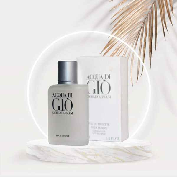 Aqua Di GIO Armani 100ml pic